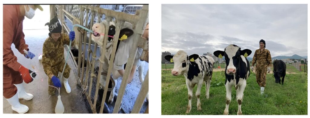 令和７(2025)年度学術研究助成中間報告