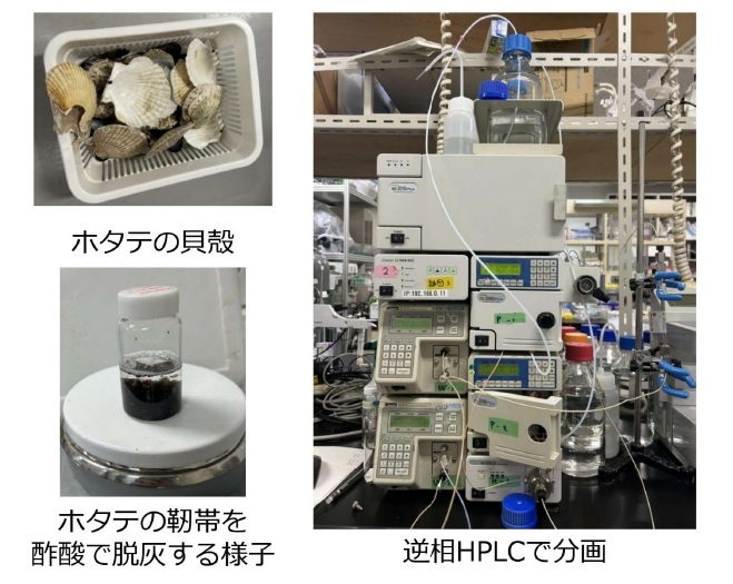 令和７(2025)年度学術研究助成中間報告